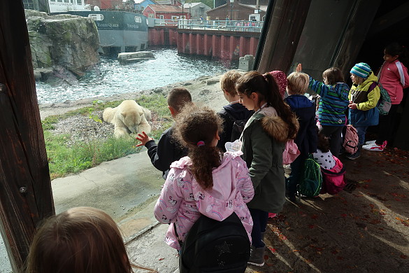 Kinder betrachten einen Eisbären