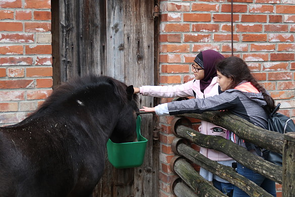 Zwei Kinder streicheln ein Pony