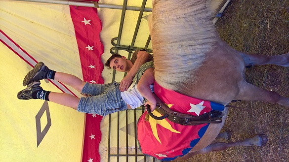 Kinder turnen auf dem Pferd