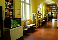 Auf dem Bild ist der Flur im Erdgeschoss zu sehen.